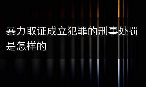 暴力取证成立犯罪的刑事处罚是怎样的