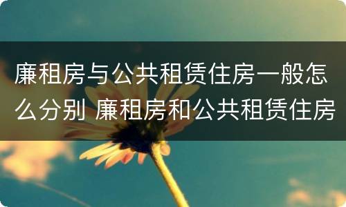 廉租房与公共租赁住房一般怎么分别 廉租房和公共租赁住房有什么区别