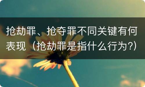 抢劫罪、抢夺罪不同关键有何表现（抢劫罪是指什么行为?）