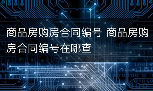 商品房购房合同编号 商品房购房合同编号在哪查