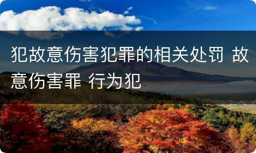 犯故意伤害犯罪的相关处罚 故意伤害罪 行为犯