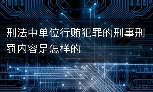 刑法中单位行贿犯罪的刑事刑罚内容是怎样的