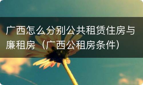 广西怎么分别公共租赁住房与廉租房（广西公租房条件）