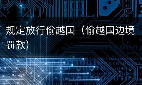 规定放行偷越国（偷越国边境罚款）