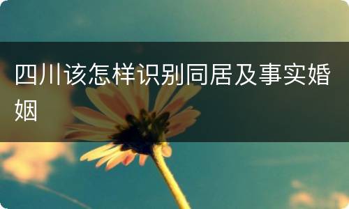 四川该怎样识别同居及事实婚姻