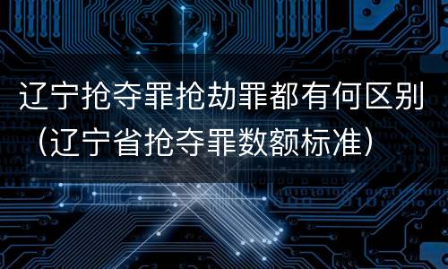 辽宁抢夺罪抢劫罪都有何区别（辽宁省抢夺罪数额标准）