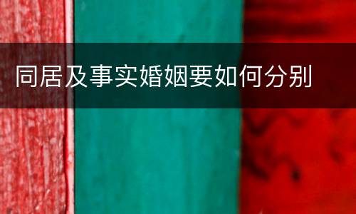 同居及事实婚姻要如何分别