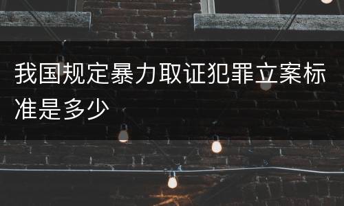 我国规定暴力取证犯罪立案标准是多少