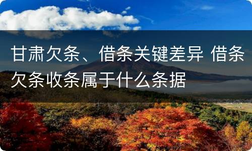 甘肃欠条、借条关键差异 借条欠条收条属于什么条据