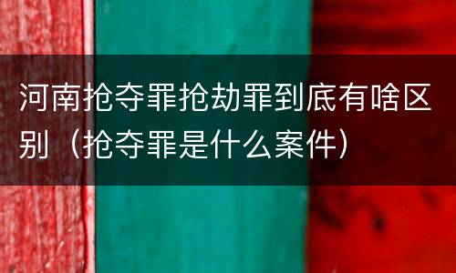河南抢夺罪抢劫罪到底有啥区别（抢夺罪是什么案件）