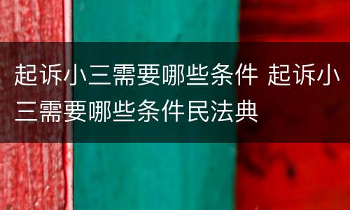 起诉小三需要哪些条件 起诉小三需要哪些条件民法典