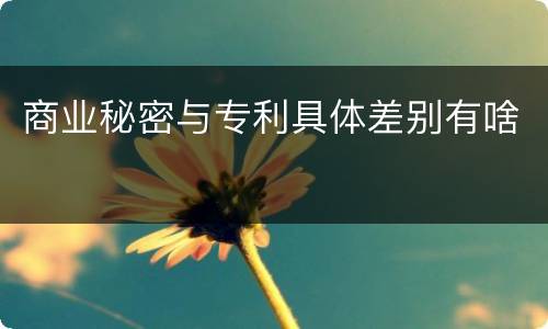商业秘密与专利具体差别有啥