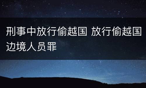 刑事中放行偷越国 放行偷越国边境人员罪