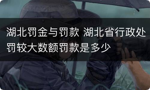 湖北罚金与罚款 湖北省行政处罚较大数额罚款是多少