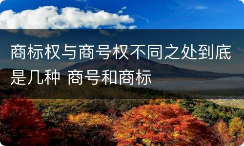 商标权与商号权不同之处到底是几种 商号和商标