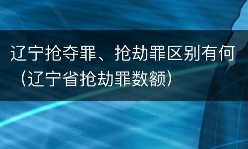 辽宁抢夺罪、抢劫罪区别有何（辽宁省抢劫罪数额）