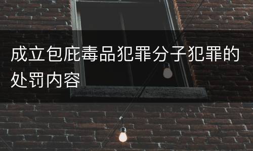 成立包庇毒品犯罪分子犯罪的处罚内容