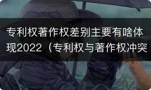专利权著作权差别主要有啥体现2022（专利权与著作权冲突）