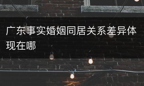 广东事实婚姻同居关系差异体现在哪