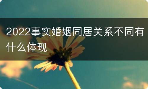 2022事实婚姻同居关系不同有什么体现