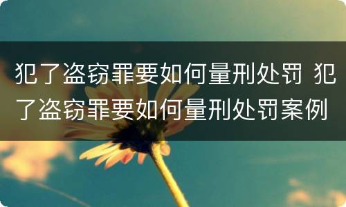 犯了盗窃罪要如何量刑处罚 犯了盗窃罪要如何量刑处罚案例