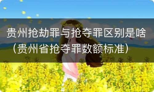 贵州抢劫罪与抢夺罪区别是啥（贵州省抢夺罪数额标准）