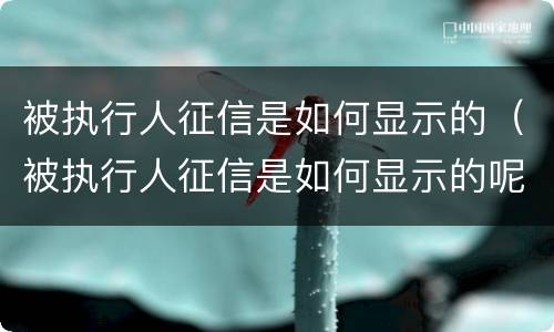 被执行人征信是如何显示的（被执行人征信是如何显示的呢）