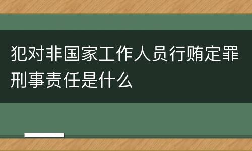犯对非国家工作人员行贿定罪刑事责任是什么