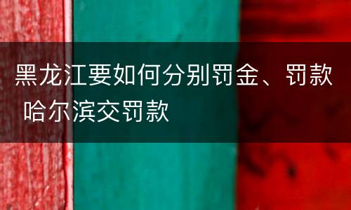 黑龙江要如何分别罚金、罚款 哈尔滨交罚款