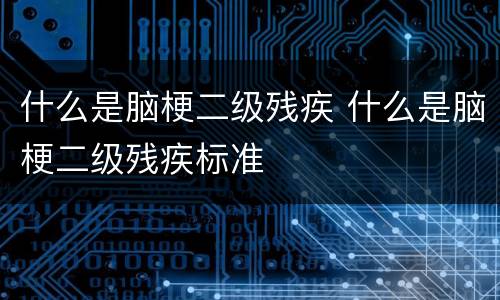 什么是脑梗二级残疾 什么是脑梗二级残疾标准