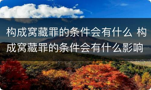 构成窝藏罪的条件会有什么 构成窝藏罪的条件会有什么影响