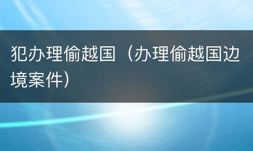 犯办理偷越国（办理偷越国边境案件）