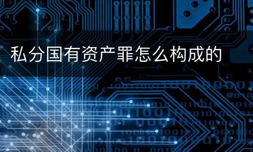 私分国有资产罪怎么构成的