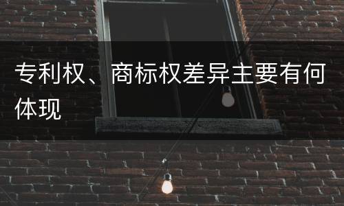 专利权、商标权差异主要有何体现