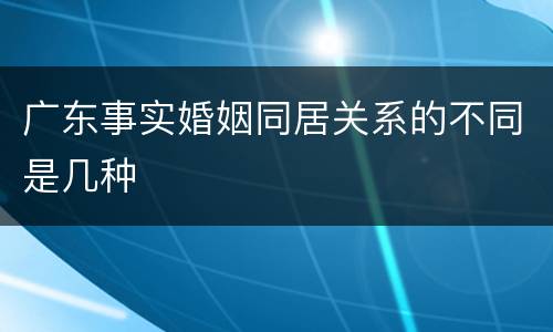 广东事实婚姻同居关系的不同是几种