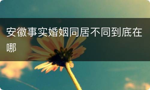 安徽事实婚姻同居不同到底在哪