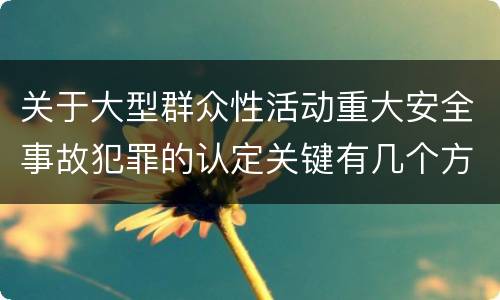 关于大型群众性活动重大安全事故犯罪的认定关键有几个方面