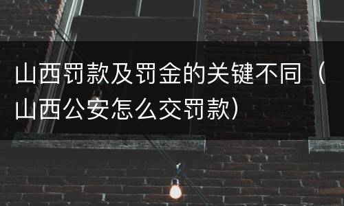 山西罚款及罚金的关键不同（山西公安怎么交罚款）