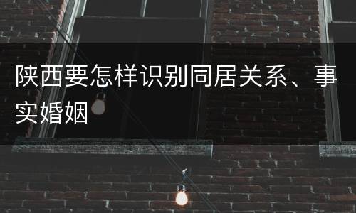 陕西要怎样识别同居关系、事实婚姻