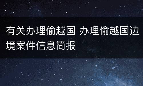 有关办理偷越国 办理偷越国边境案件信息简报