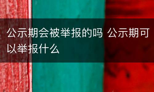 公示期会被举报的吗 公示期可以举报什么