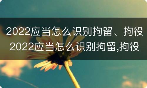 2022应当怎么识别拘留、拘役 2022应当怎么识别拘留,拘役人员