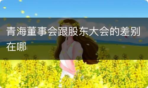 青海董事会跟股东大会的差别在哪