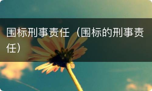 围标刑事责任（围标的刑事责任）
