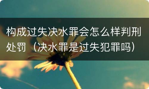 构成过失决水罪会怎么样判刑处罚（决水罪是过失犯罪吗）