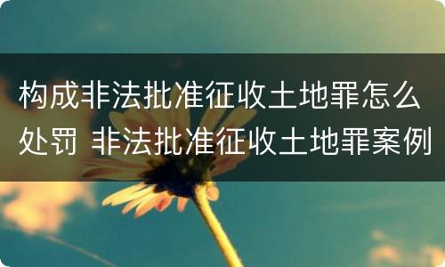 构成非法批准征收土地罪怎么处罚 非法批准征收土地罪案例
