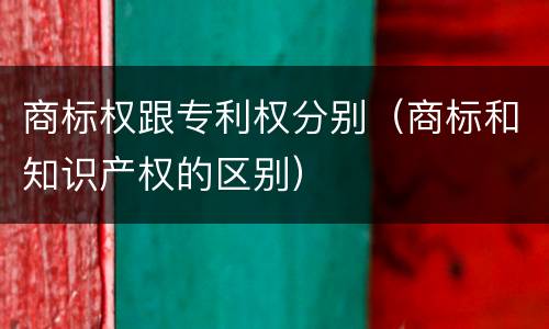 商标权跟专利权分别（商标和知识产权的区别）