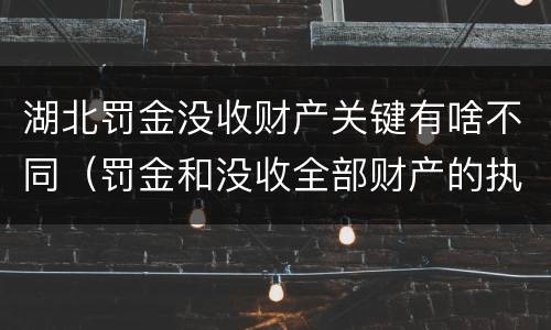 湖北罚金没收财产关键有啥不同（罚金和没收全部财产的执行顺序）