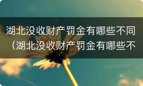 湖北没收财产罚金有哪些不同（湖北没收财产罚金有哪些不同处罚）