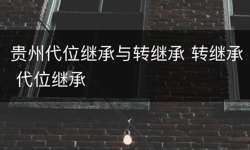 贵州代位继承与转继承 转继承 代位继承